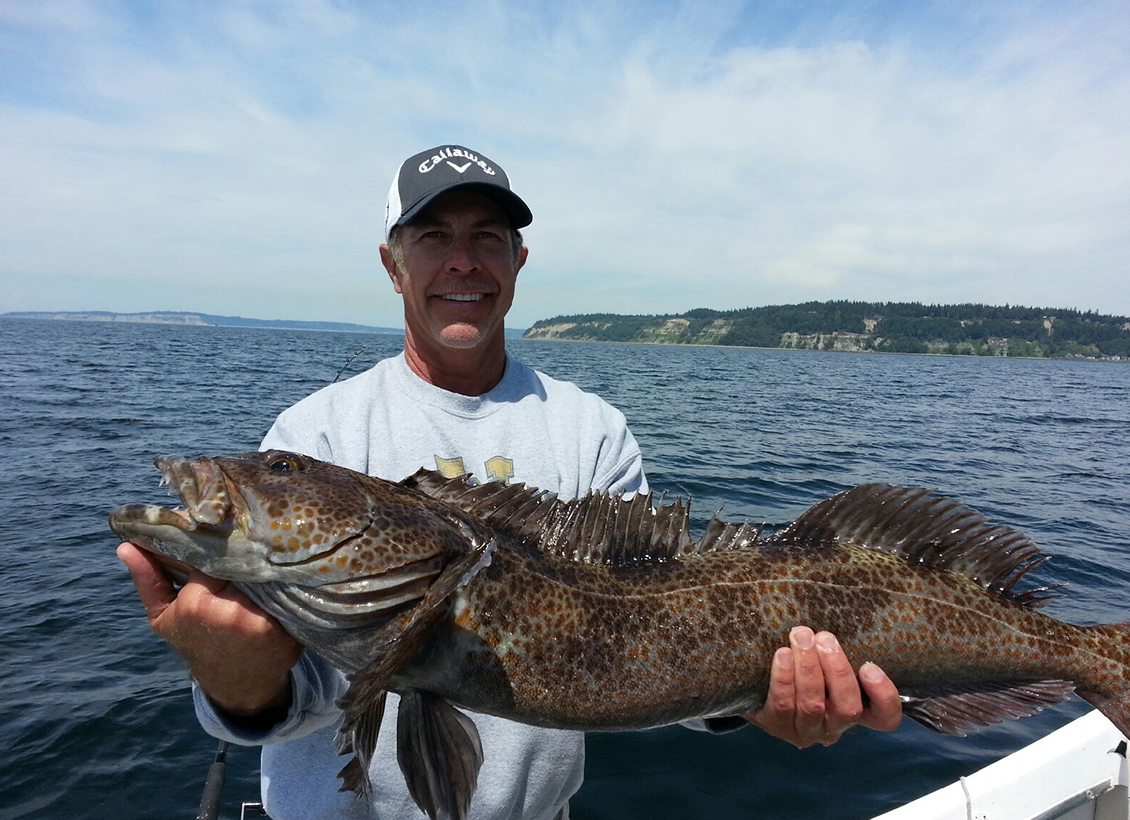Lingcod Fishing Tips in Seattle & the Puget Sound Area. - Puget Sound  Sports Fishing
