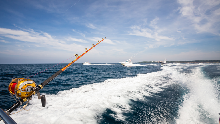 Shoreline vs. Boat Salmon Fishing