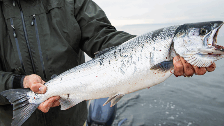 Why August Is the Perfect Time to Book a Fishing Charter in Seattle